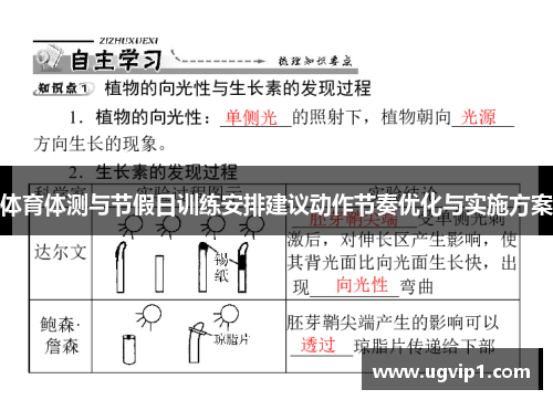 体育体测与节假日训练安排建议动作节奏优化与实施方案