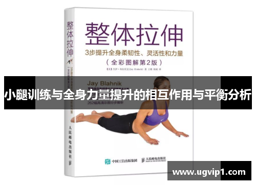 小腿训练与全身力量提升的相互作用与平衡分析